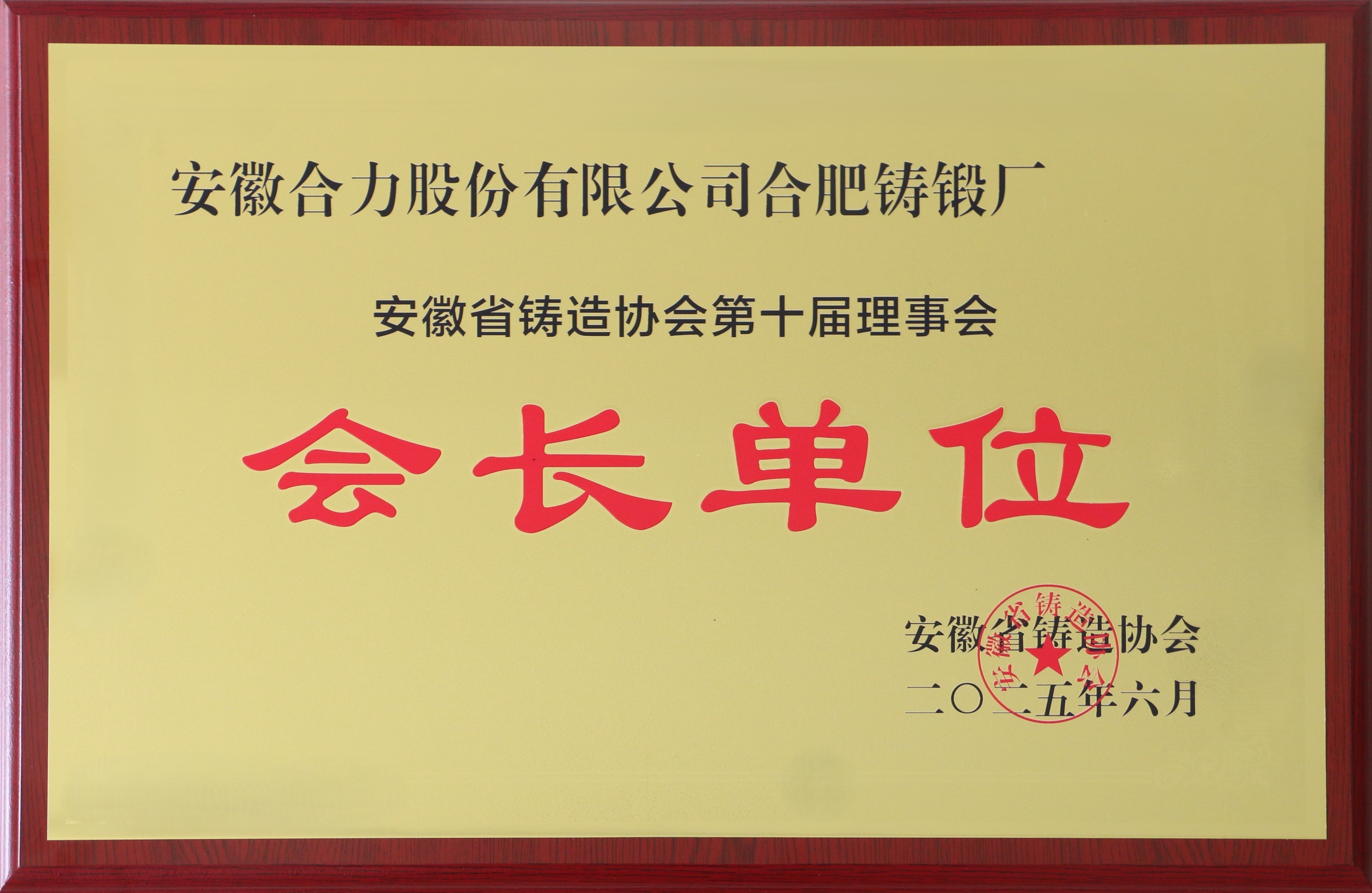 安徽省鑄造協會第十屆會長單位.jpg